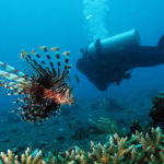 Tempat Wisata Alam Taman Laut Bunaken Indonesia