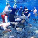 Objek Wisata Umbul Ponggok, Sensasi Baru Untuk Spot Foto Underwater