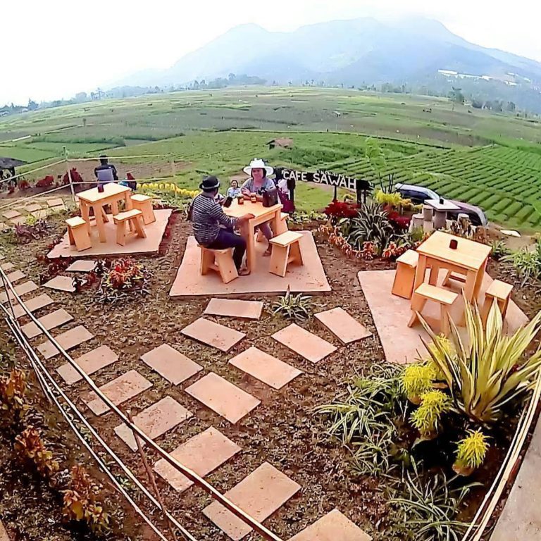 Lokasi Dan Rute Menuju Cafe  Sawah  Pujon  Serunya Menikmati 