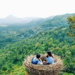 Harga Tiket Masuk dan Alamat Bukit Jomblo Tulungagung, Serunya Ngadem Dalam Sangkar Burung