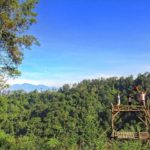 Lokasi dan Rute Menuju Omah Akar Raksasa Coban Jidor, Surga Wisata Tersembunyi dari Kota Malang