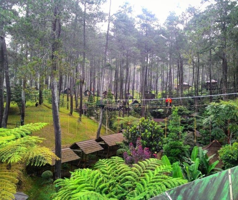 Harga Tiket Masuk Dan Lokasi Orchid Forest Lembang Kolaborasi Tempat Wisata Dengan Konservasi 2375