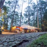 Wahana dan Harga Tiket Mojosemi Forest Park Magetan, Suguhan Wisata Keluarga dengan Konsep Agrowisata