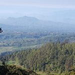 Fasilitas dan Alamat Cemoro Kandang Karanganyar, Jalur Pendakian Dengan View Yang Menawan