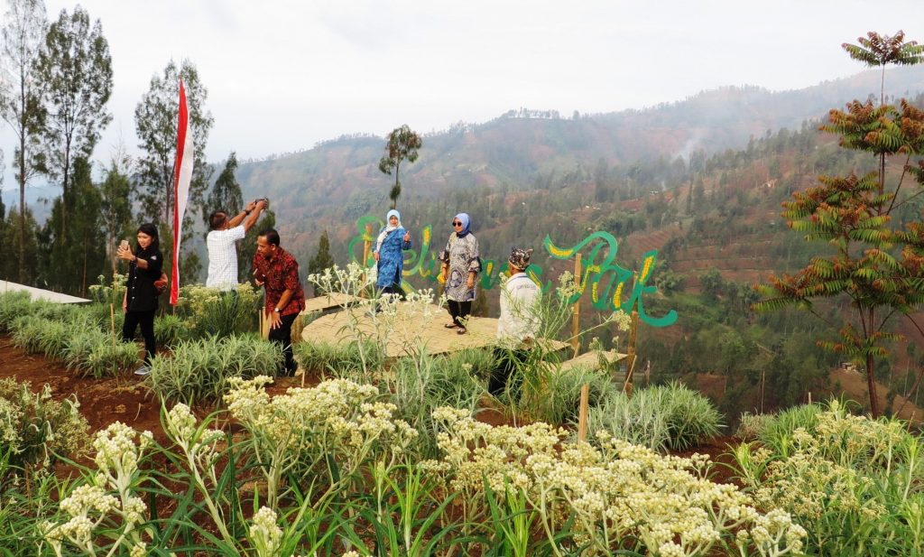 Lokasi Dan Harga Tiket Masuk Taman Edelweiss Wonokitri Pasuruan, Tempat ...